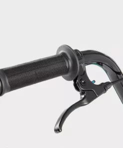 We The People Seed 16