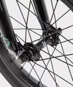 We The People Seed 16