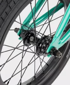 We The People Seed 16