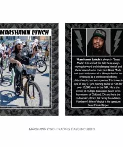 SE Racing Beast Mode Ripper 27.5+ BMX Bike-Silver