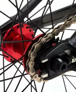 DK Professional XXL 20