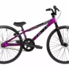 DK Swift Mini Bike-Purple