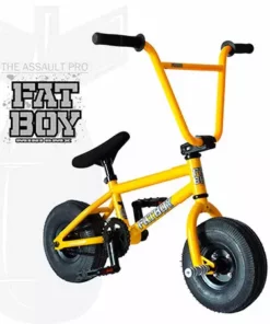 LITTLE BIKES Fat Boy Mini BMX Bike The Assault Pro-Gold