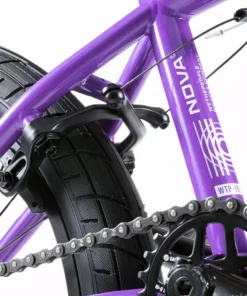 We The People 2023 Nova 20