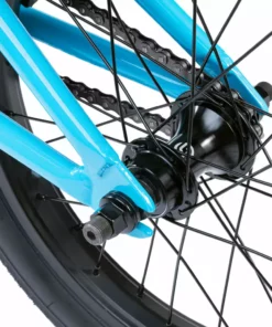 We The People 2023 Seed 16