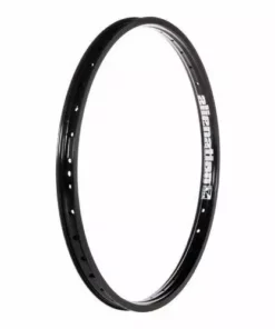 COMPONENTS DUPE-Alienation TCS Malice Rim-20x1.75"-Matte Black-36H