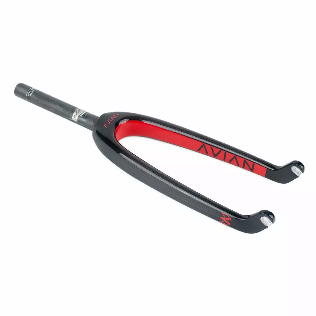 Avian Versus Youth Carbon Fork 1 Avian Versus Youth Carbon Fork