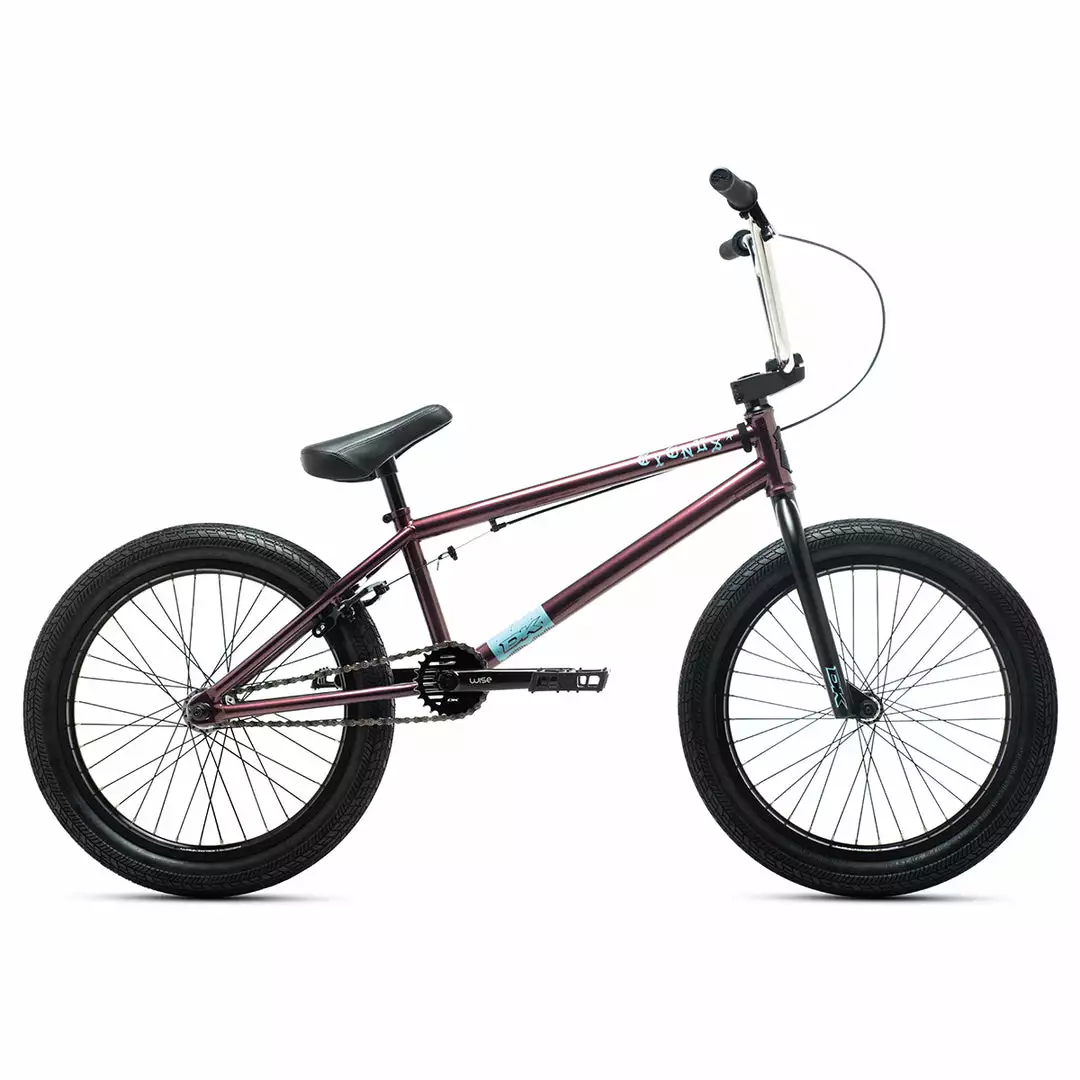 BIKES DK Cygnus 20.5"TT BMX Freestyle Bike-Purple 1 BIKES DK Cygnus 20.5"TT BMX Freestyle Bike-Purple