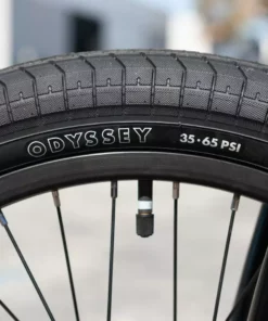 Sunday Forecaster LHD 21