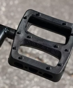 Sunday Forecaster RHD 21