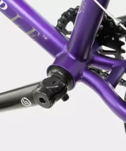 We The People Seed 16