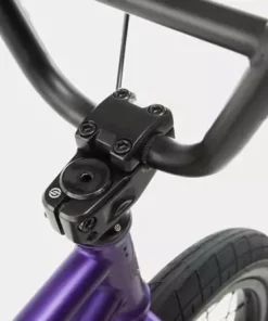 We The People Seed 16