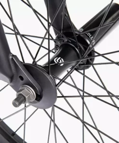 We The People Reason 20.75